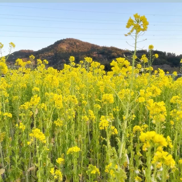 Instagram 投稿 17887100130326872